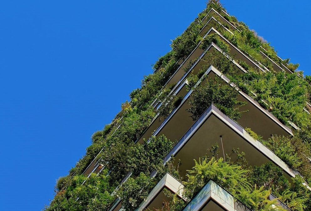 Qualitas affirms its public commitment to sustainability