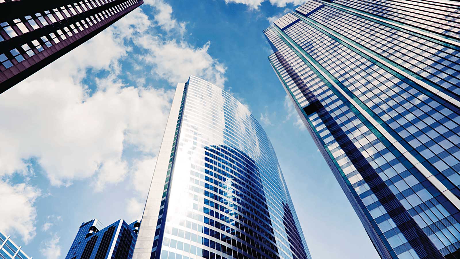 Qualitas-resiliance-when-it-counts Qualitas-resiliance-when-it-counts
