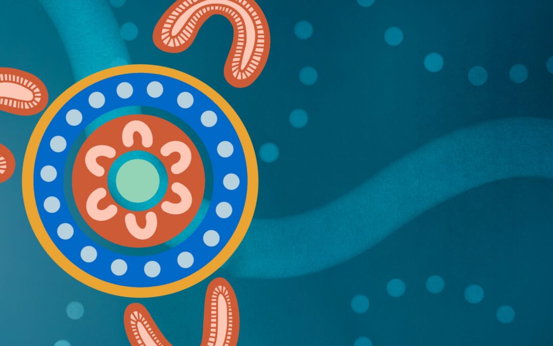 Qualitas launches Innovate Reconciliation Action Plan